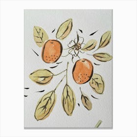 Oranges And Leaves Canvas Print