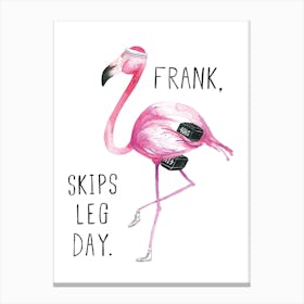 Flamingo Frank Canvas Print