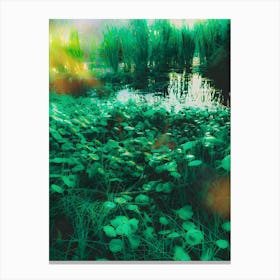 The Lake 4 Canvas Print