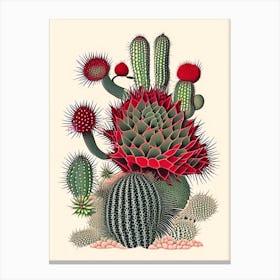 Rebutia Cactus William Morris Inspired Canvas Print