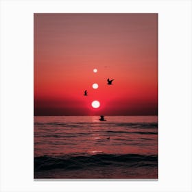 Three Sunset and Birds Canvas Print