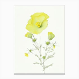 Buttercup Floral Quentin Blake Inspired Illustration 2 Flower Canvas Print