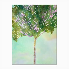 Acropora Aspera Ii Storybook Watercolour Canvas Print