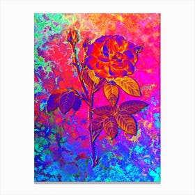 French Rose Botanical in Acid Neon Pink Green and Blue n.0139 Canvas Print
