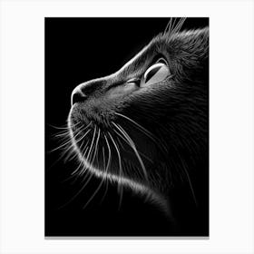 Black Cat Portrait Canvas Print