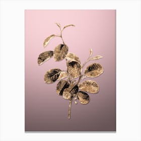Gold Botanical Alpine Buckthorn Plant on Rose Quartz n.2894 Canvas Print