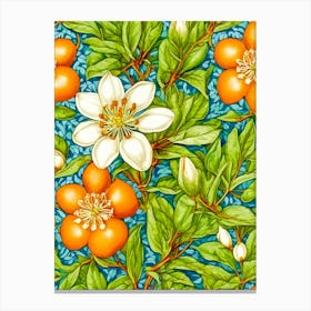 Orange Blossom Canvas Print