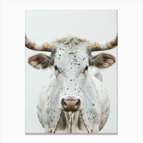 Longhorn Bull Portrait Canvas Print