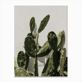 Moody Cactus Canvas Print