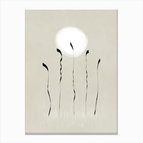 Moonshine #3 Canvas Print