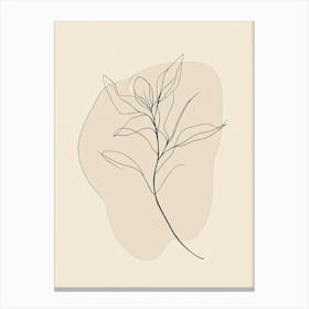 Line Drawing Of A Plant 3 Canvas Print