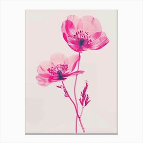 Hot Pink Anemone Canvas Print