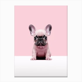 Cute French bulldog Canvas Print