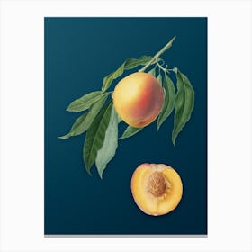 Vintage Peach Botanical Art on Teal Blue Canvas Print