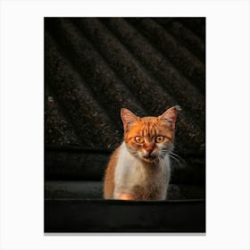 Portrait Of A Ginger Cat On The Roof Of A Building. Canvas Print