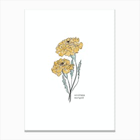 October Marigold Birth Flower 1 Canvas Print