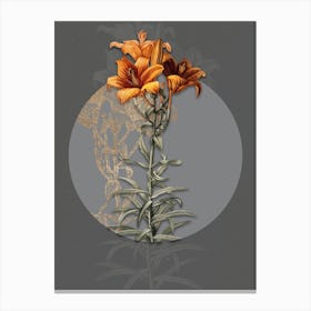 Vintage Botanical Fire Lily on Circle Gray on Gray n.0207 Canvas Print