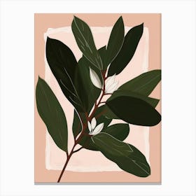 Magnolia Tree Canvas Print