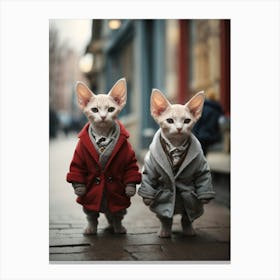 Two Cats In Coats Canvas Print