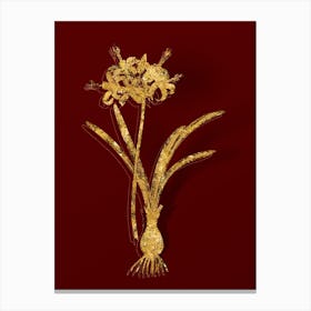 Vintage Guernsey Lily Botanical in Gold on Red n.0434 Canvas Print