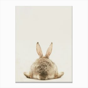 Rabbit'S Back Canvas Print