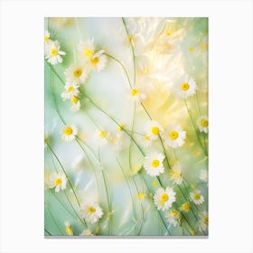 Daisies On Water Background Canvas Print
