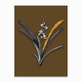 Vintage Boat Orchid Black and White Gold Leaf Floral Art on Coffee Brown n.0721 Canvas Print