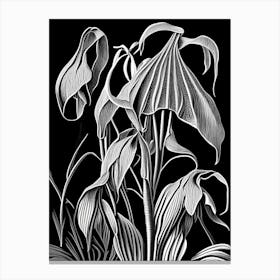 Jack In The Pulpit Wildflower Linocut 2 Canvas Print