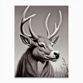 Deer Head 58 Canvas Print