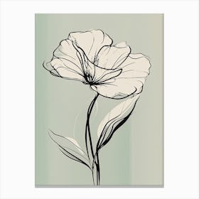 Gladioli Line Art Flowers Illustration Neutral 3 Canvas Print