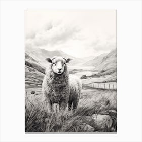 Black & White Illustration Of Highland Sheep With The Valley In The Distance 1 Canvas Print