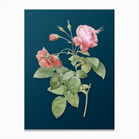 Vintage Pink Boursault Rose Botanical Art on Teal Blue n.0015 Canvas Print