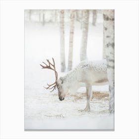 Serene Winter Scene Canvas Print