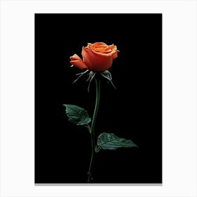 Orange Rose Canvas Print