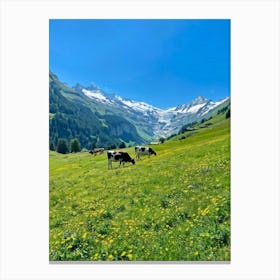 Cows Grazing In The Alps 1 Canvas Print