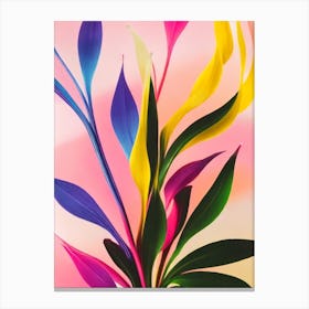 Mother In Law’S Tongue Colourful Illustration Plant Canvas Print