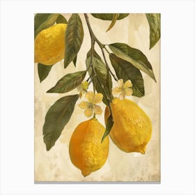 Lemons On A Branch 6 Canvas Print