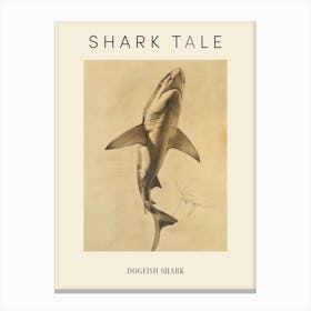 Dogfish Shark Vintage Illustration 8 Poster Canvas Print
