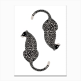 Cheetahs Canvas Print