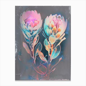Iridescent Flower Protea 1 Canvas Print