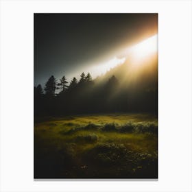 Sun Rising Over A Meadow Canvas Print