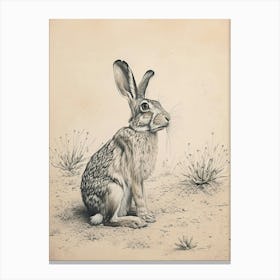 Lionhead Rabbit Drawing 1 Canvas Print