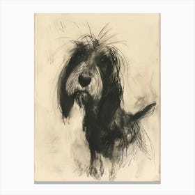 Petit Basset Griffon Vendeen Dog Charcoal Line 4 Canvas Print