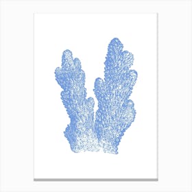 Blue Coral 2 Canvas Print