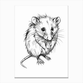 B&W Opossum Canvas Print