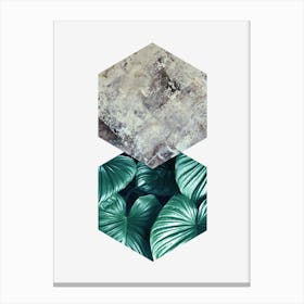 Geometric and botanical B Canvas Print