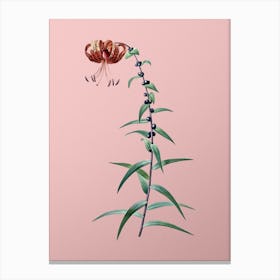 Vintage Tiger Lily Botanical on Soft Pink n.0203 Canvas Print
