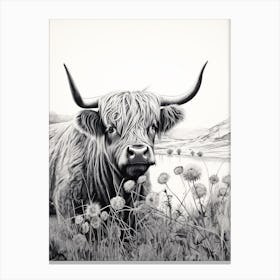 Black & White Illustration Of Highland Cow With Dandelions Canvas Print