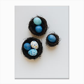Easter Eggs In Nests Canvas Print