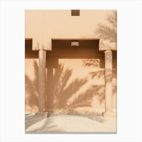 Shadow Of A Palm Tree Canvas Print